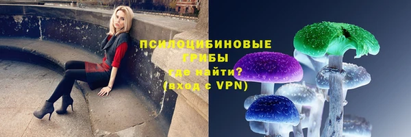 ALPHA PVP Алексин