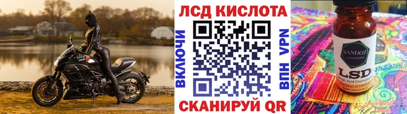 купить наркотик  Снежногорск  Марки 25I-NBOMe 1,8мг 