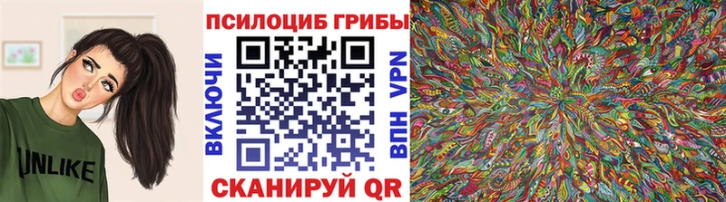 даркнет сайт  блэк спрут ONION  Галлюциногенные грибы Cubensis  Снежногорск 